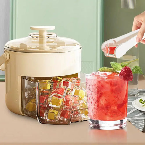 Bac à glaçons et récipient de rangement 2 en 1 avec cuillère