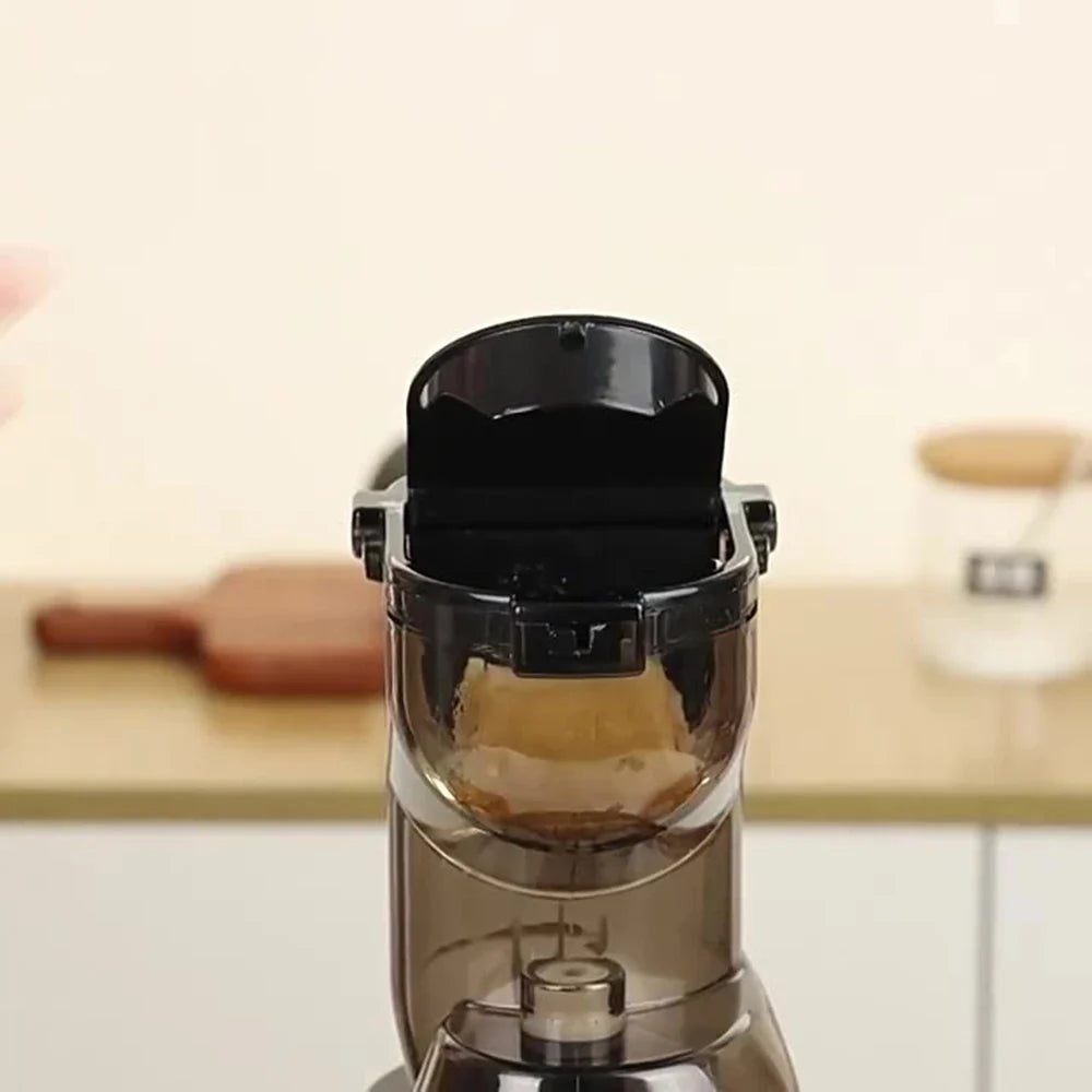 Centrifugeuse à vitesse lente 500 W avec séparateur de pulpe