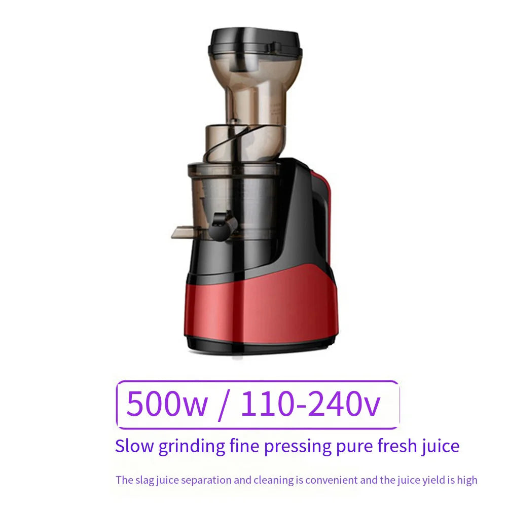 Centrifugeuse à vitesse lente 500 W avec séparateur de pulpe